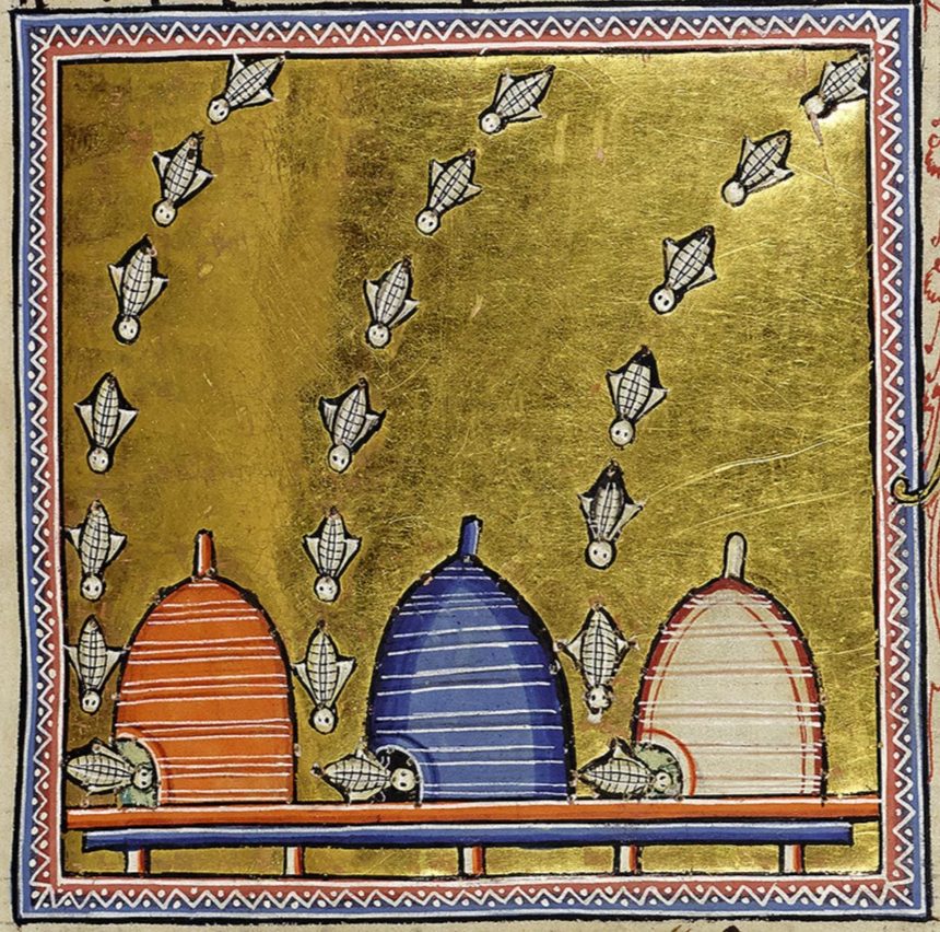 Beehives and bees, from the Aberdeen Bestiary