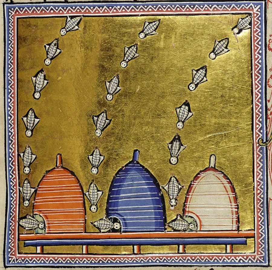 Three beehives with bees, from the Aberdeen Bestiary